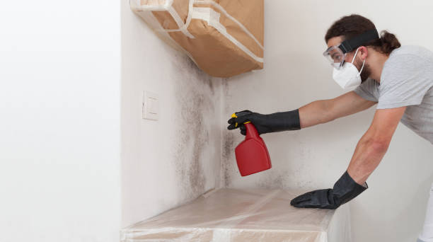 Professional Bathroom Mold Removal technician working in New Freedom, PA